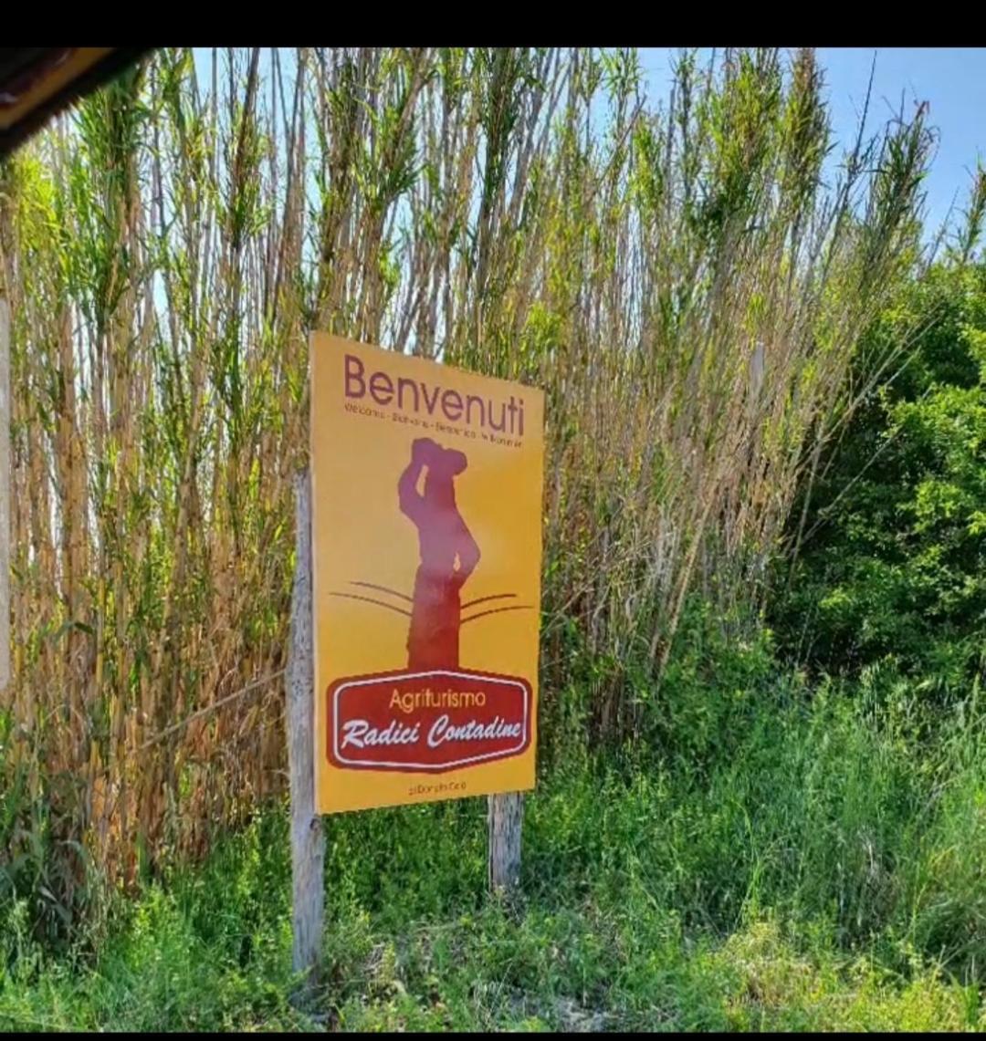 Agriturismo Radici Contadine Bisaccia Экстерьер фото